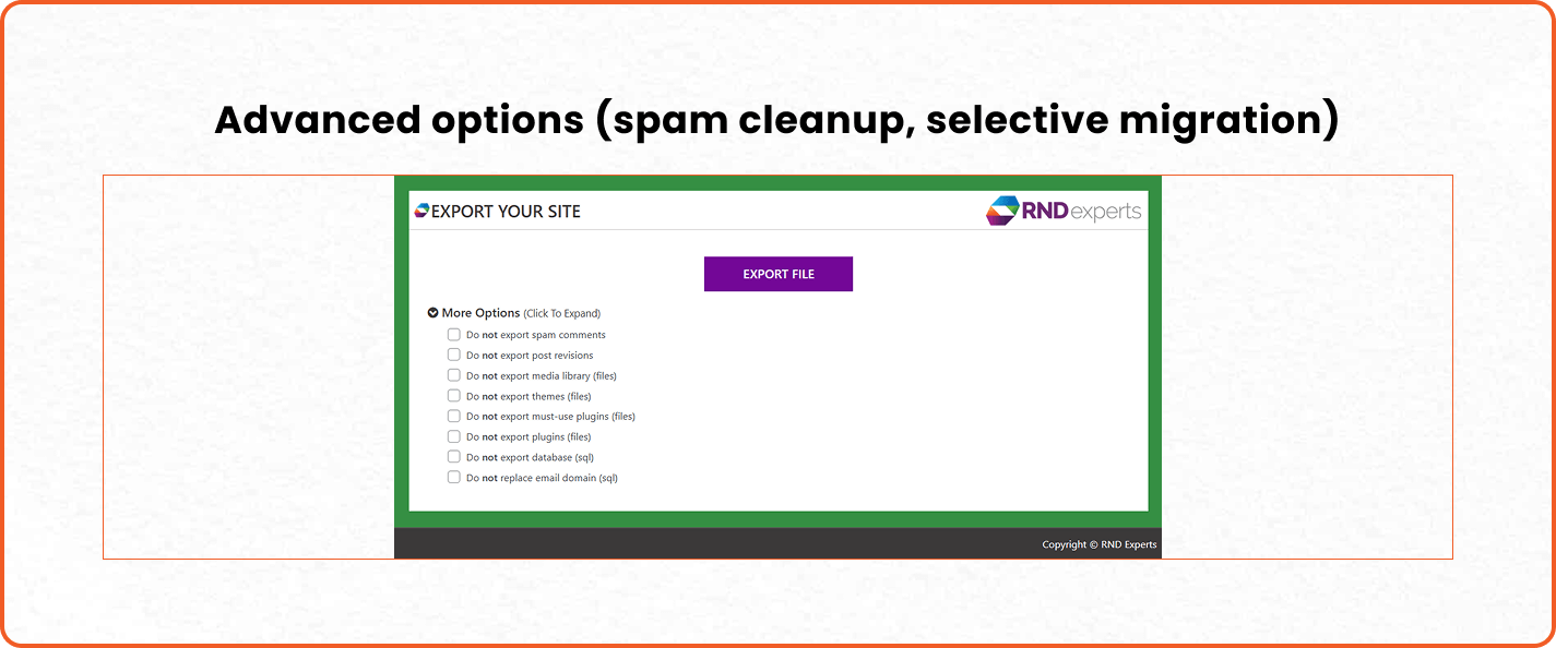 Website Migration - WordPress